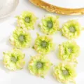 Artificial peony flower heads silk flowers for DIY hair accessories wreaths 10pcs - Green