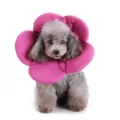 Cute pink flower pet recovery collar for cats and dogs, soft Elizabethan cone for care. - S / Purple Flower (YLSB08)