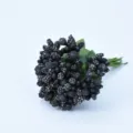 Artificial black berry bouquet for DIY crafts, wedding favor boxes, and handmade wreaths. - Black