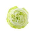 Artificial peony silk flower head 8cm fake floral decoration wedding party photo prop - Green