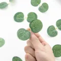 Artificial eucalyptus leaf pieces for handmade crafts, DIY floral arrangements, and home decor. - M