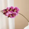 Stelo di fiore finto di orchidea phalaenopsis artificiale a 7 teste per decorazione nozze - viola-rosso