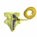 Set imbracatura e guinzaglio piccoli animali gilet dinosauro giallo per cavia topo - Giallo