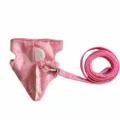 Set imbracatura e guinzaglio per porcellino d'India rosa gilet dinosauro animale - Rosa