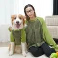 Matching pet and owner striped outfits, green and brown color block long sleeve crewneck shirts. - XS (Back Length 20cm) / Green Stripe