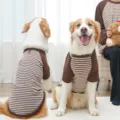Cute striped dog t-shirt for large dogs comfortable breathable pet apparel with D-ring design. - Brown Stripe