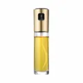 Glass oil spray bottle for kitchen cooking, portable cooking oil dispenser for BBQ salad - Gold