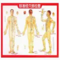 Standard acupuncture chart poster human body meridian and acupoint anatomical educational guide - Meridian Charts