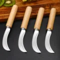 Stainless steel fruit curved knife with wooden handle, sharp blade for cutting pineapple banana. - Wooden Handle