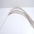 Glitzer Feuerwerk Blumen Zweig Weihnachten Neujahr Dekorative Stiel Gold Glänzend 90cm - Keine Spezifikation / Champagner