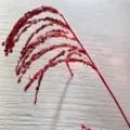 Roter Paillettenzweig 23cm mit 45cm Stiel für Neujahr Weihnachten Blumenstrauß Vasen Deko. - Keine Spezifikation / Rot