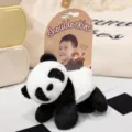 Cute panda plush shoulder toy stuffed animal doll lovely companion gift for kids and fans - Panda