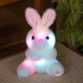 Cute glowing rabbit plush toy, colorful luminous bunny doll for kids and gift, soft. - Sitting Colorful Rabbit / 25cm/0.14kg