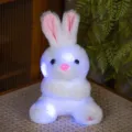 Cute glowing plush rabbit toy with colorful LED lights, soft stuffed animal for kids and gifts. - Sitting White Rabbit / 25cm/0.14kg