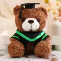Doktor Bär Plüschtier Kuscheltier mit Abschlusskappe und grünem Umhang braune Puppe Geschenk - Dunkelbraun-grüne Streifen