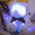Glowing plush bear toy with recording function, cute glowing confession doll for Valentine's Day. - 25cm / White