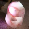 Glowing capybara plush toy LED light up stuffed animal cute pink doll gift for kids. - Pink