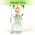 Ästhetische weibliche Körper Form Glas Hydrokultur Vase Avocado Anbau Behälter klare Pflanze - Avocado-Vase