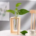 Nordische Holz Reagenzglas Glas Vase Detail, kreativer Hydrokultur Pflanzenbehälter Deko. - Naturholz-Stil
