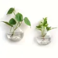Wandhängeglas Hydrokultur Vase Set, transparente flache runde Pflanzenterrarium für Wanddeko. - 2er-Set