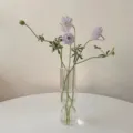 Transparent glass bubble vase, creative minimalist flower arrangement for home decor. - Vertical Ribbed Transparent