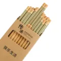 Carbonized bamboo chopsticks set with green stripe pattern in kraft paper gift box variant. - 10 Pairs Bamboo Chopsticks (Green & White Lines)
