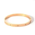 Stainless steel rose gold plated star zircon bangle bracelet, luxury fashion jewelry. - NB-B6052-7
