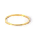 Elegant 18k gold plated stainless steel zirconia bangle bracelet for women daily chic fashion - NB-B6052-11