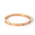 Stainless steel rose gold plated cubic zirconia bangle bracelet for women luxury jewelry - NB-B6052-17