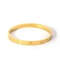 Gold stainless steel classic screw motif bangle bracelet for women elegant fashion jewelry gift - NB-B6052-20