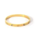 Gold stainless steel cubic zirconia clover bangle bracelet fashion jewelry accessory gift. - NB-B6052-25