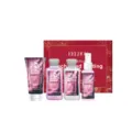 EELHOE 4-Piece Skincare Travel Set, Hydrating Body Lotion, Shower Gel, and Body Mist Kit. - Pink