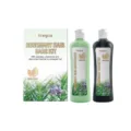 HOEGOA coffret de soin capillaire au romarin shampooing et apres-shampooing reparateur - Après-Shampooing 120ML + Shampooing 120ML