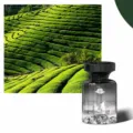 Car air freshener diffuser bottle, Morning Mist Longjing scent, long lasting fragrance. - Morning Mist Longjing Tea