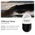 Car Air Freshener Solid Scent Capsule Long Lasting Fragrance Deodorant Auto Perfume. - Genesis Cologne (Black)