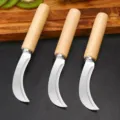 Stainless steel small curved fruit knife with wooden handle for harvesting and kitchen use - Wood Handle Curved Knife