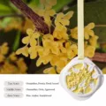 Osmanthus Scented Plaster Tablet Wardrobe Car Air Freshener Hanging Fragrance Pendant Yellow - Blooming Osmanthus
