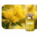 Osmanthus Car Air Freshener Perfume Bottle Long Lasting Scent Home Fragrance - Osmanthus Rain