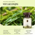 Car Perfume Diffuser Glass Bottle Longjing Tea Fragrance 120ml Fresh Air Freshener - Longjing Green
