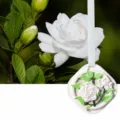 Gardenia Scented Plaster Air Freshener Wardrobe Car Hanging Aromatherapy Pendant - Mountain Gardenia