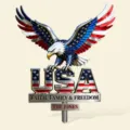 Detaillierte Ansicht eines American Eagle Metallschilds mit US-Flaggen-Flügeln und Text - American Eagle Metallschild / 20cm