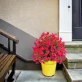 Künstlicher purpurner Gänseblümchen-Kugelstrauß in gelbem Topf für den Garten. - Fuchsia