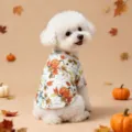 Schattig honden t-shirt met pompoen print voor de herfst, zacht huisdier vest voor honden. - 3XL / Wit Pompoen T-Shirt / Wit