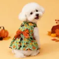 Cute autumn dog dress with pumpkin turkey print and orange bow for small dogs and pets. - S / Harvest Farm Dress / Green