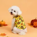 Cute pet vest in bright yellow with funny turkey and pumpkin print for dogs and puppies. - S / Pumpkin Turkey Vest / Yellow