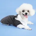 Traje esmoquin a rayas para perro gato con cuello blanco y pajarita para animales pequeños primavera - S / Camisa de cuadros negros