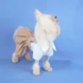 Pet dog school uniform skirt cute puppy apparel striped shirt for spring and summer wear - Yellow Plaid Skirt