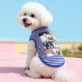 Chaleco para perro a rayas azul y blanco transpirable de verano con lindo estampado de dibujos. - XS / Rayas azules y blancas