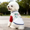 Perro primavera verano camiseta linda coche estampado chaleco cachorro rojo blanco ropa - XS / Blanco