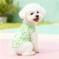Schattig groen ruitje huisdieren vest met fruitprint, comfortabele hondenkleding lente. - XS / Groen
